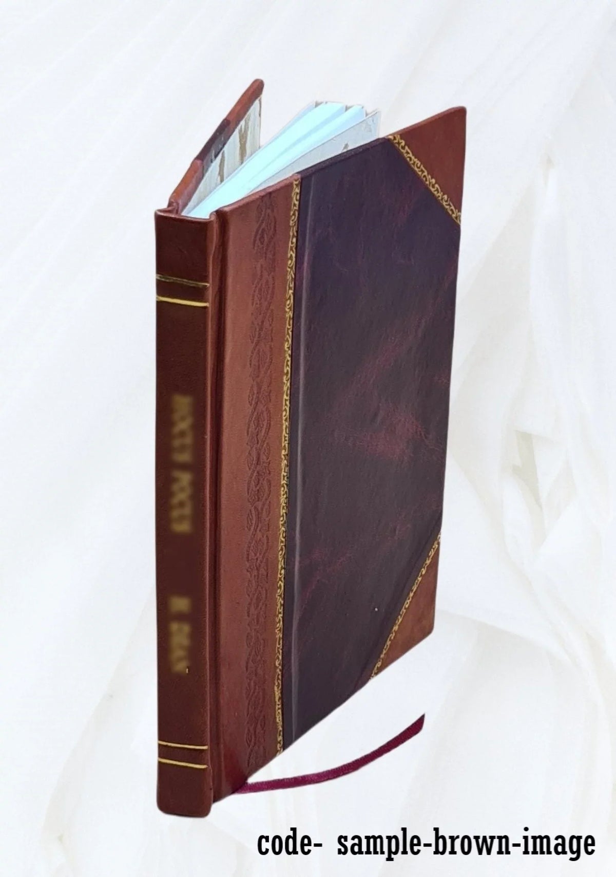 Report on drainage and prevention of overflow in the valley of the Red River of the North / by P.T. Sizeimons and Forest V. King. Volume v.1017(1922) 1922 [Leather Bound]